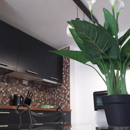 Loft 113 * Κοραλέχο