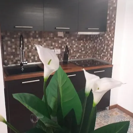 Loft 113 Διαμέρισμα Κοραλέχο